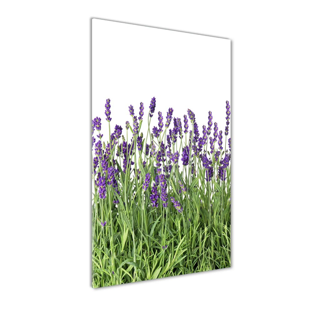 Print on acrylic glass Lavender field