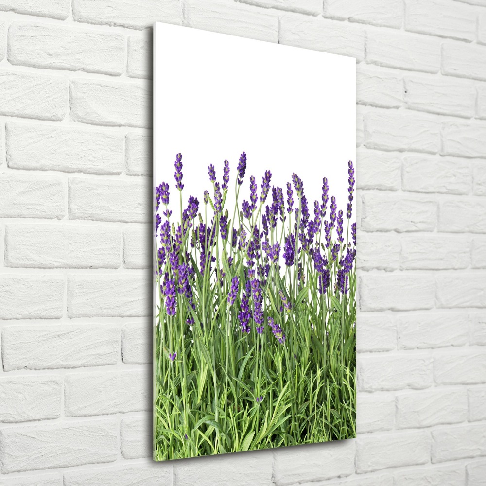 Print on acrylic glass Lavender field