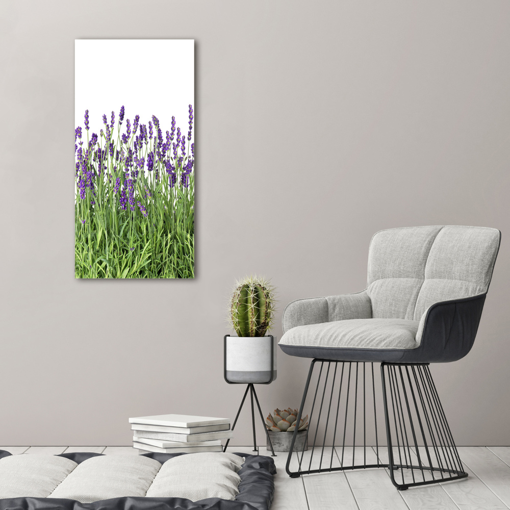 Print on acrylic glass Lavender field