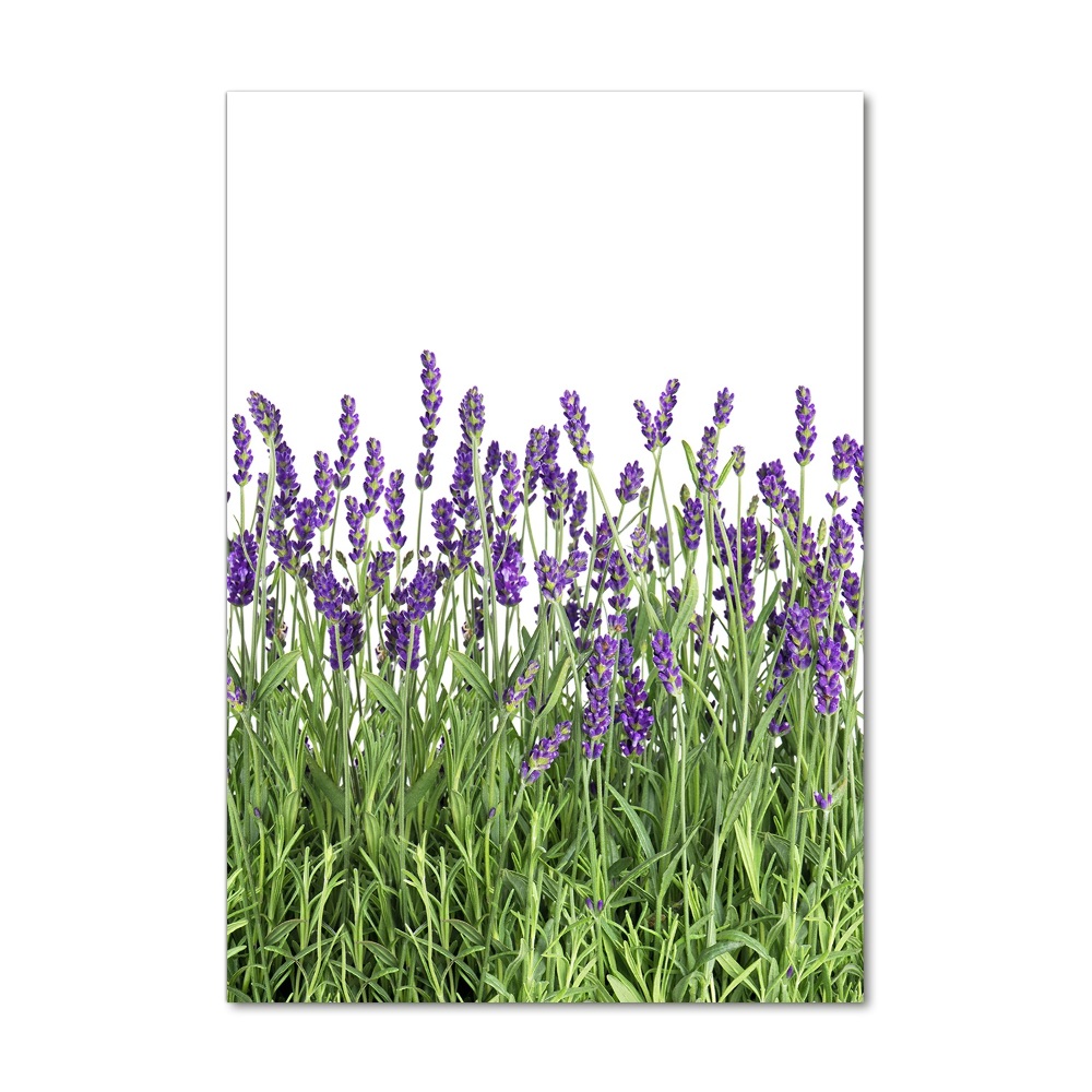 Print on acrylic glass Lavender field