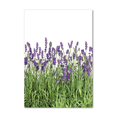 Print on acrylic glass Lavender field