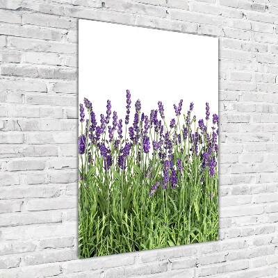 Print on acrylic glass Lavender field