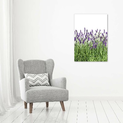 Print on acrylic glass Lavender field