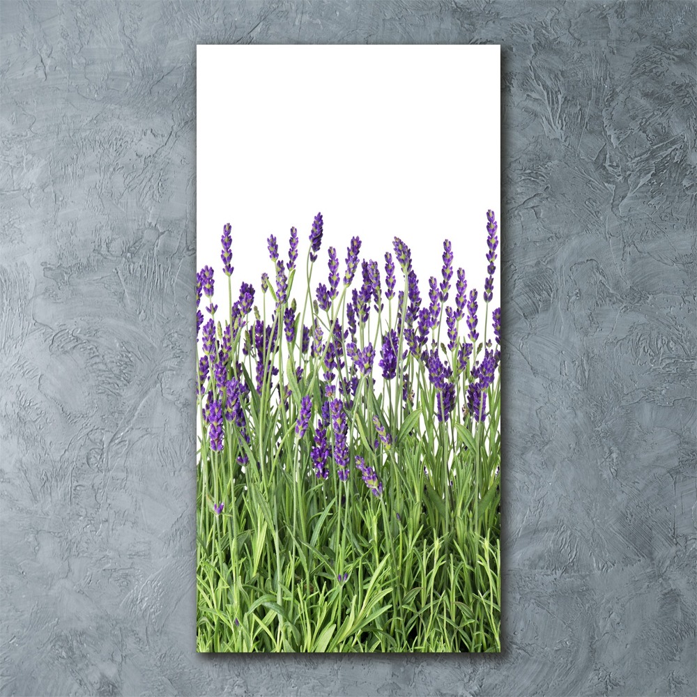 Print on acrylic glass Lavender field