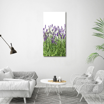 Print on acrylic glass Lavender field