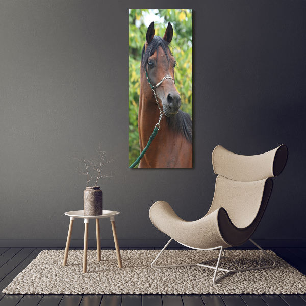 Print on acrylic Portrait of a horse