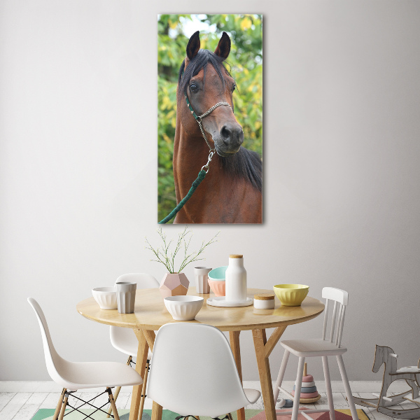 Print on acrylic Portrait of a horse