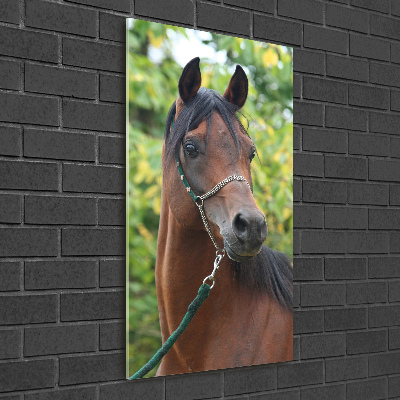 Print on acrylic Portrait of a horse