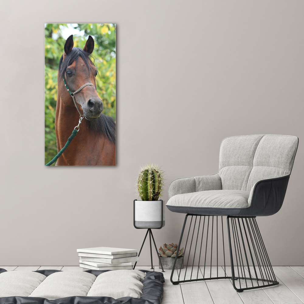 Print on acrylic Portrait of a horse