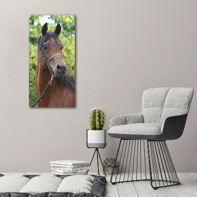 Print on acrylic Portrait of a horse