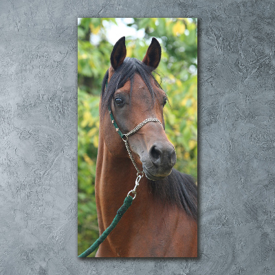 Print on acrylic Portrait of a horse