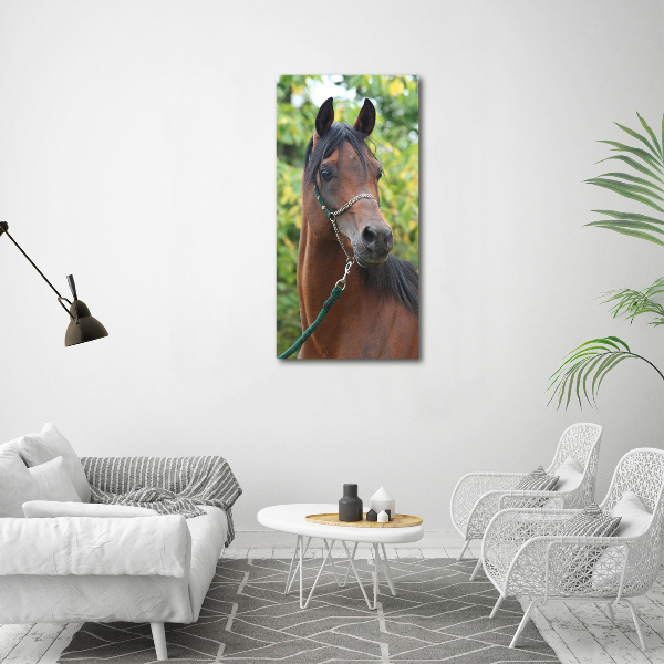 Print on acrylic Portrait of a horse