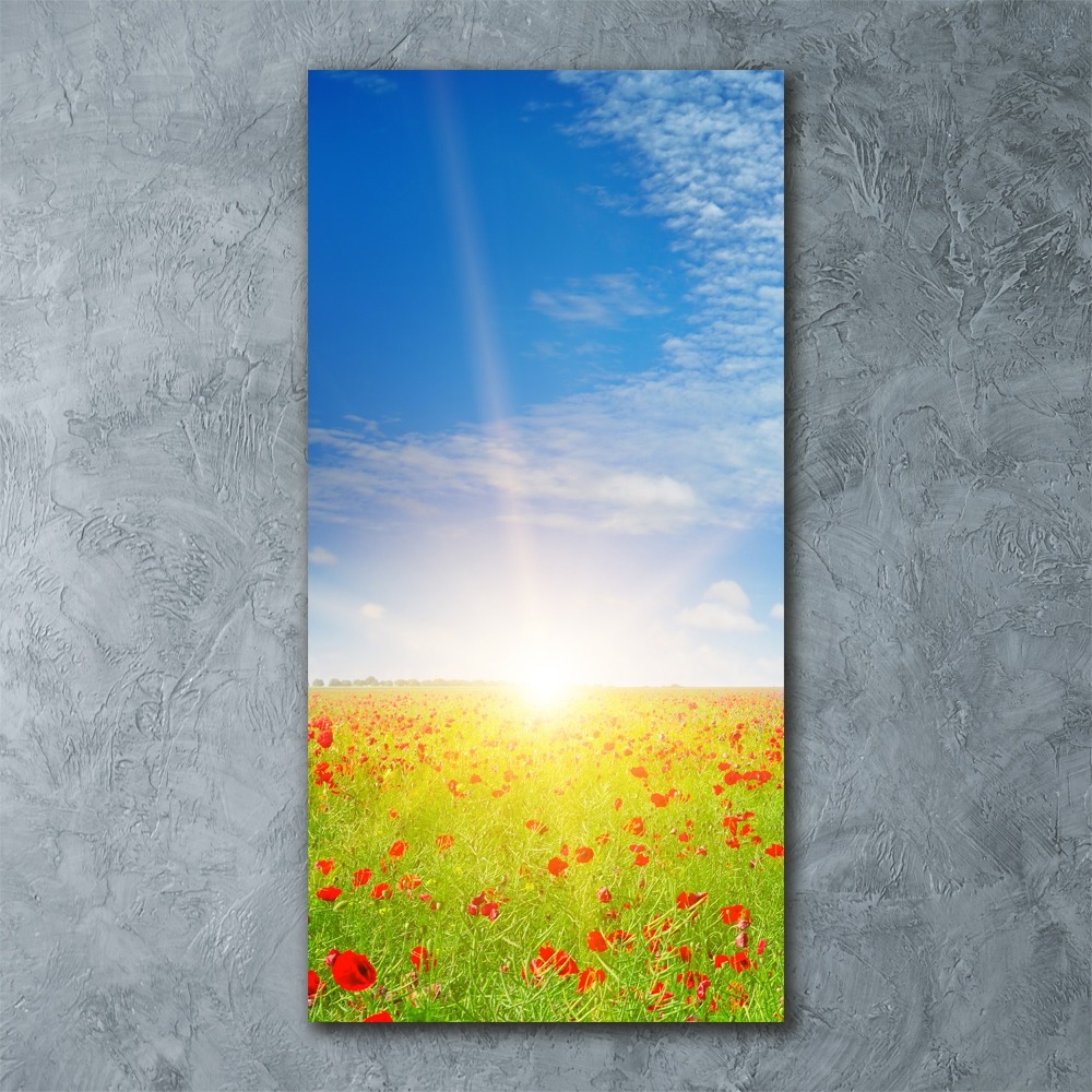 Acrylic print Mak�w field