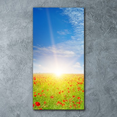 Acrylic print Mak�w field