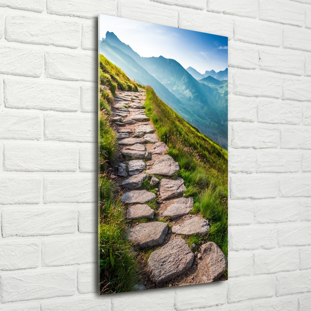 Print on acrylic Mountain trail