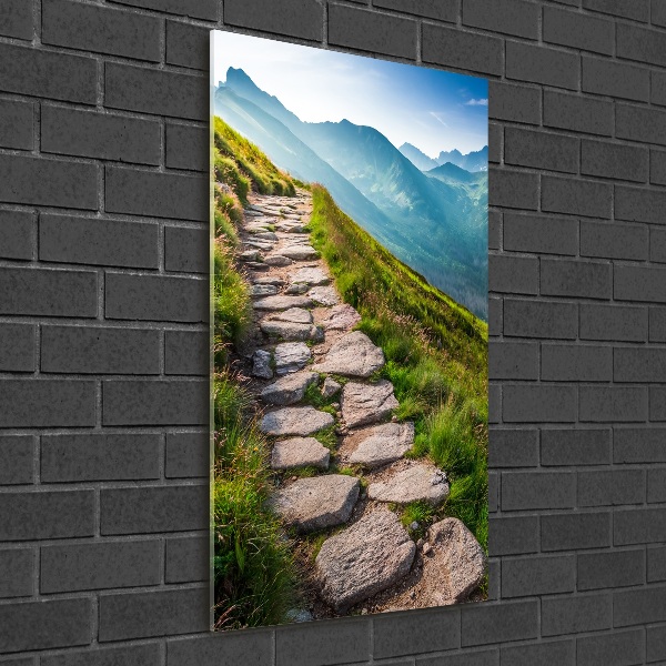 Print on acrylic Mountain trail