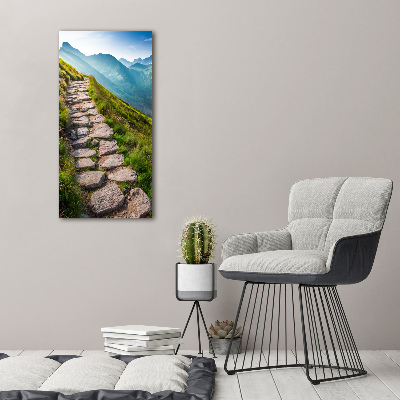 Print on acrylic Mountain trail