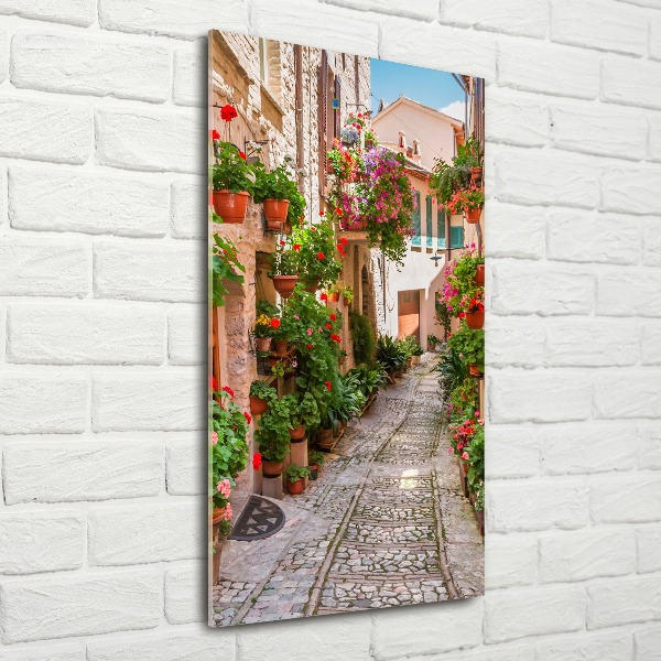 Print on acrylic Italian streets