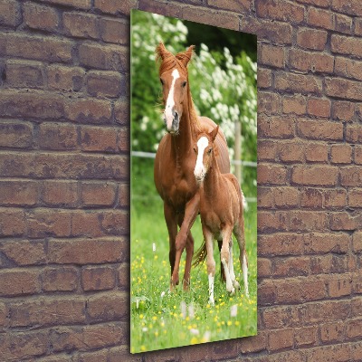 Print on acrylic Mare and foal