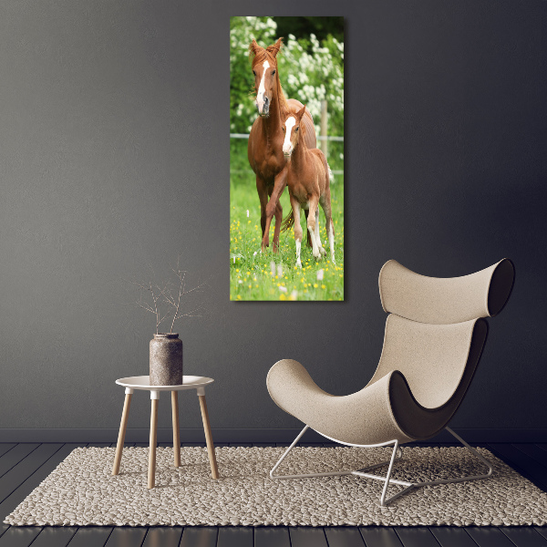 Print on acrylic Mare and foal