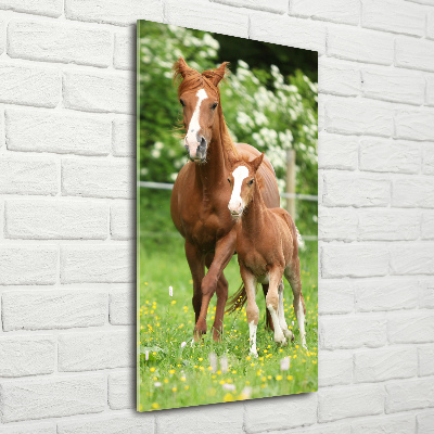 Print on acrylic Mare and foal