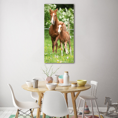 Print on acrylic Mare and foal