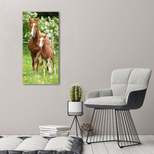 Print on acrylic Mare and foal