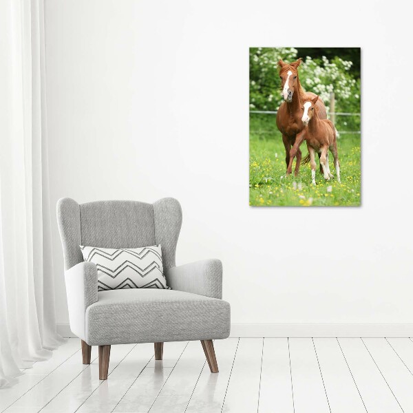 Print on acrylic Mare and foal