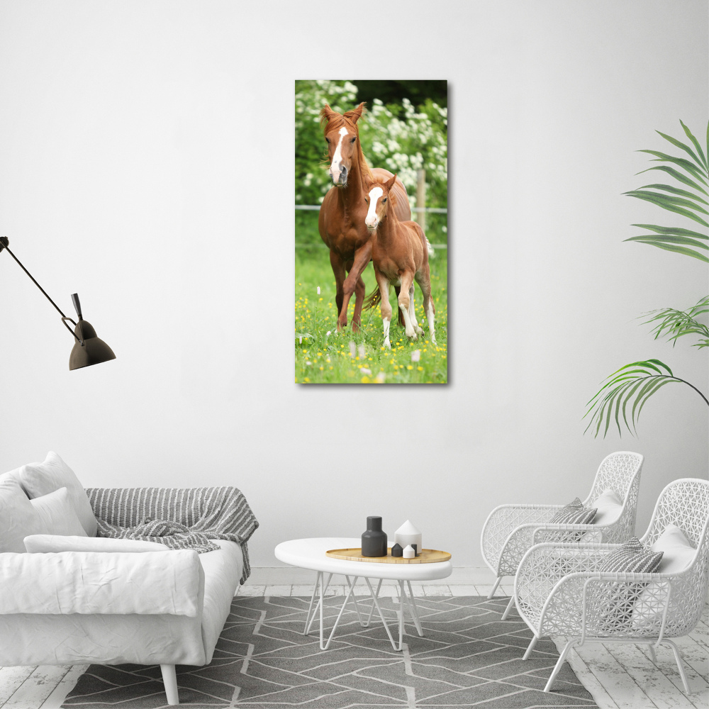 Print on acrylic Mare and foal