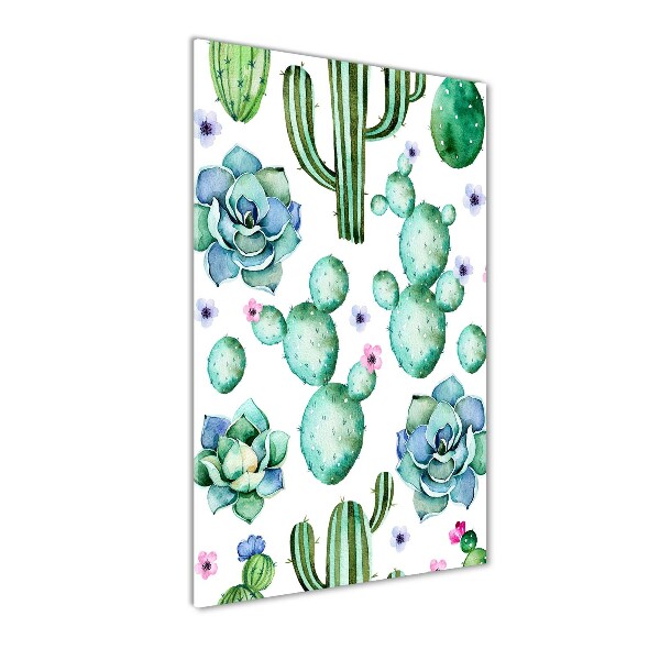Cacti