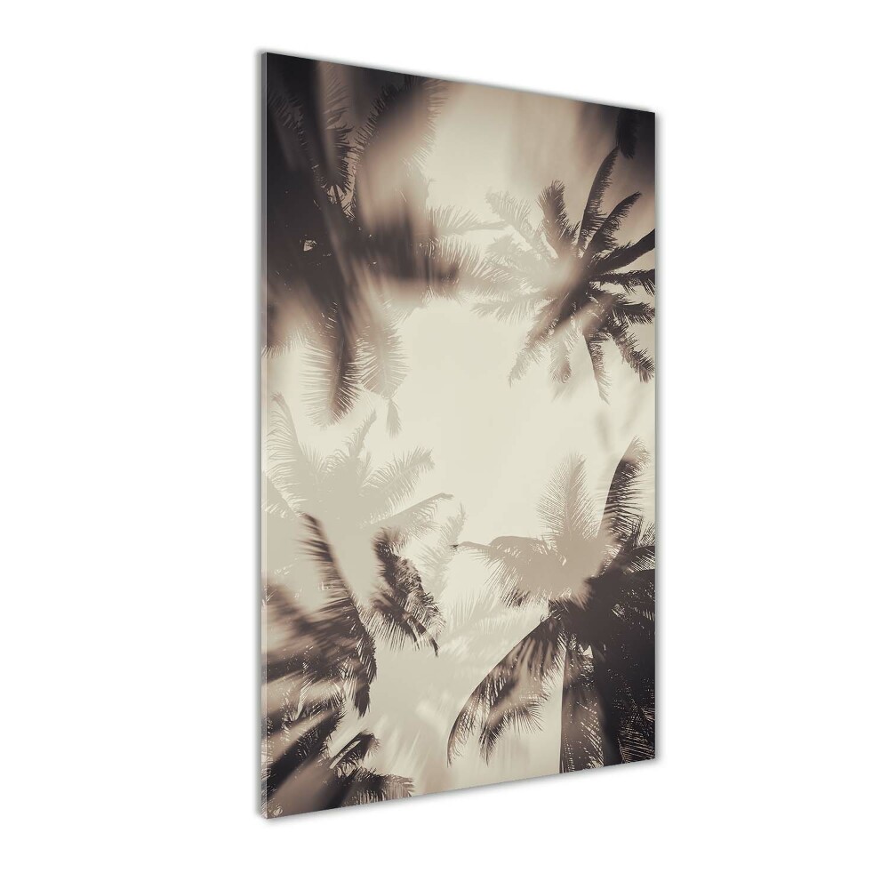 Acrylic print Palm trees