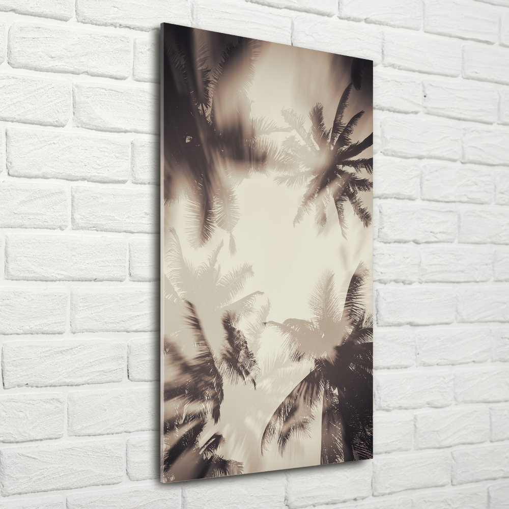 Acrylic print Palm trees