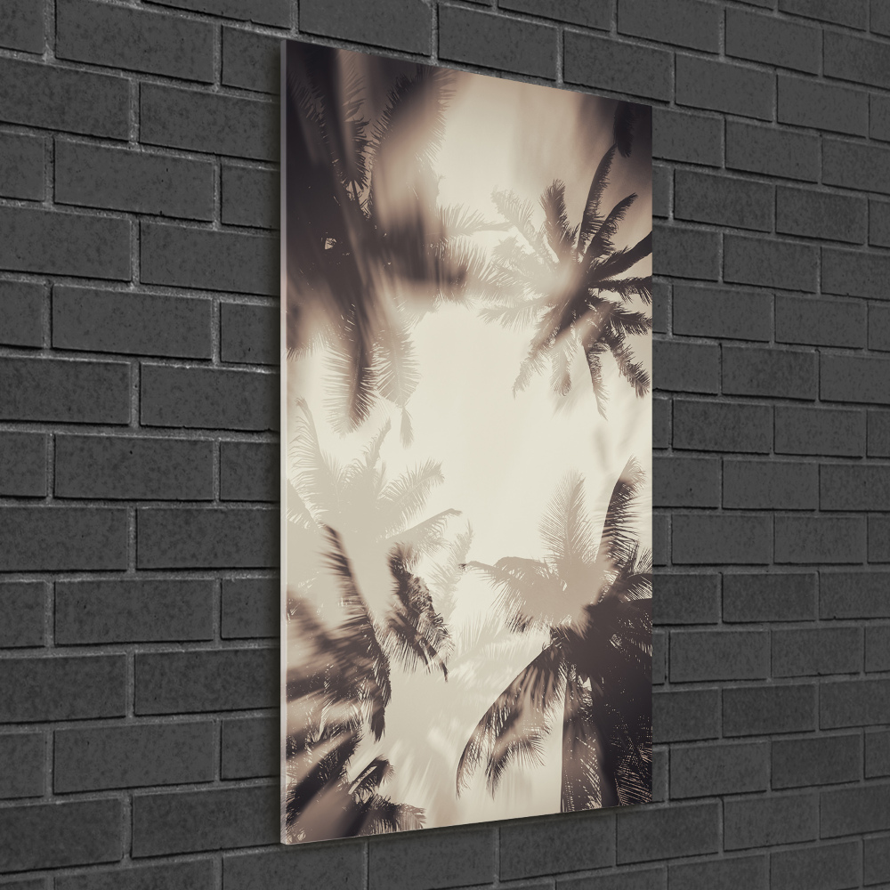 Acrylic print Palm trees