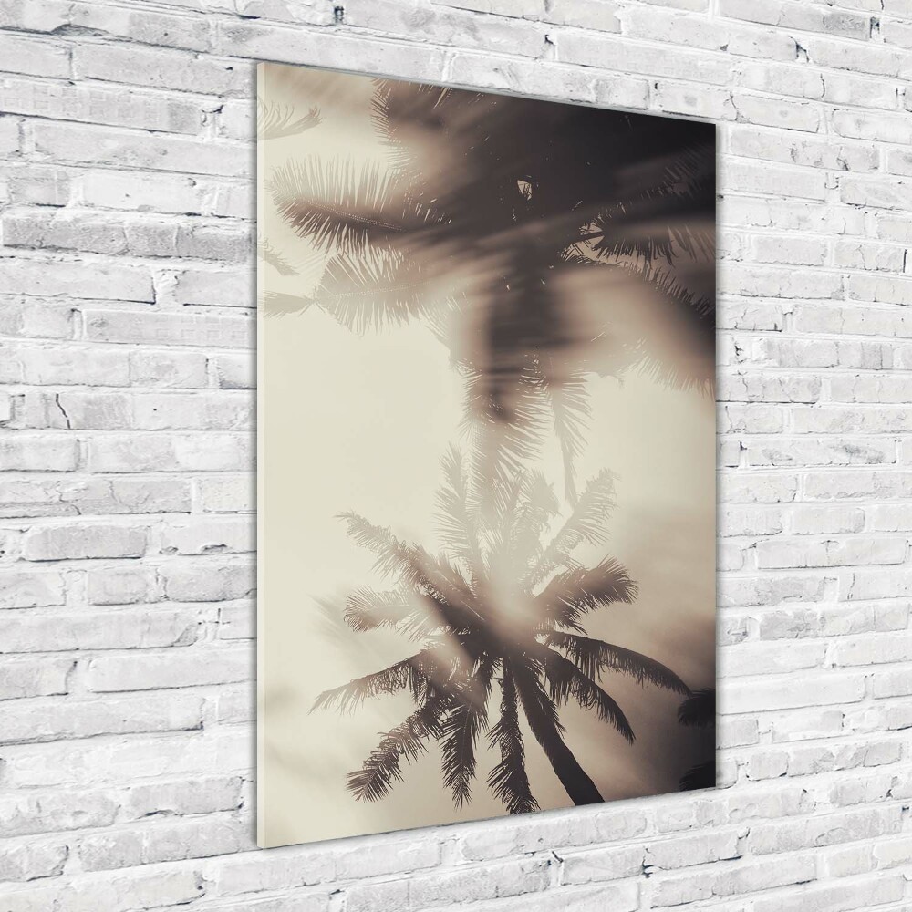 Acrylic print Palm trees