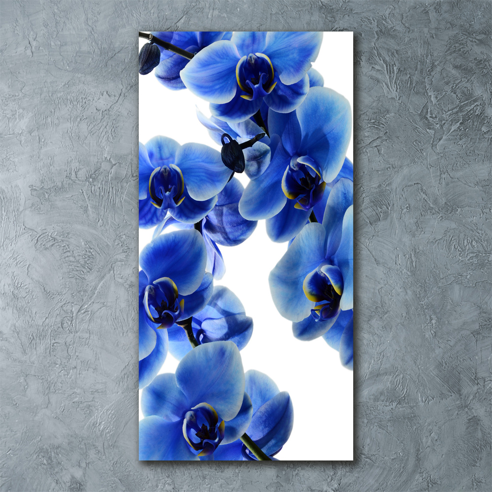 Print on acrylic glass Blue orchid