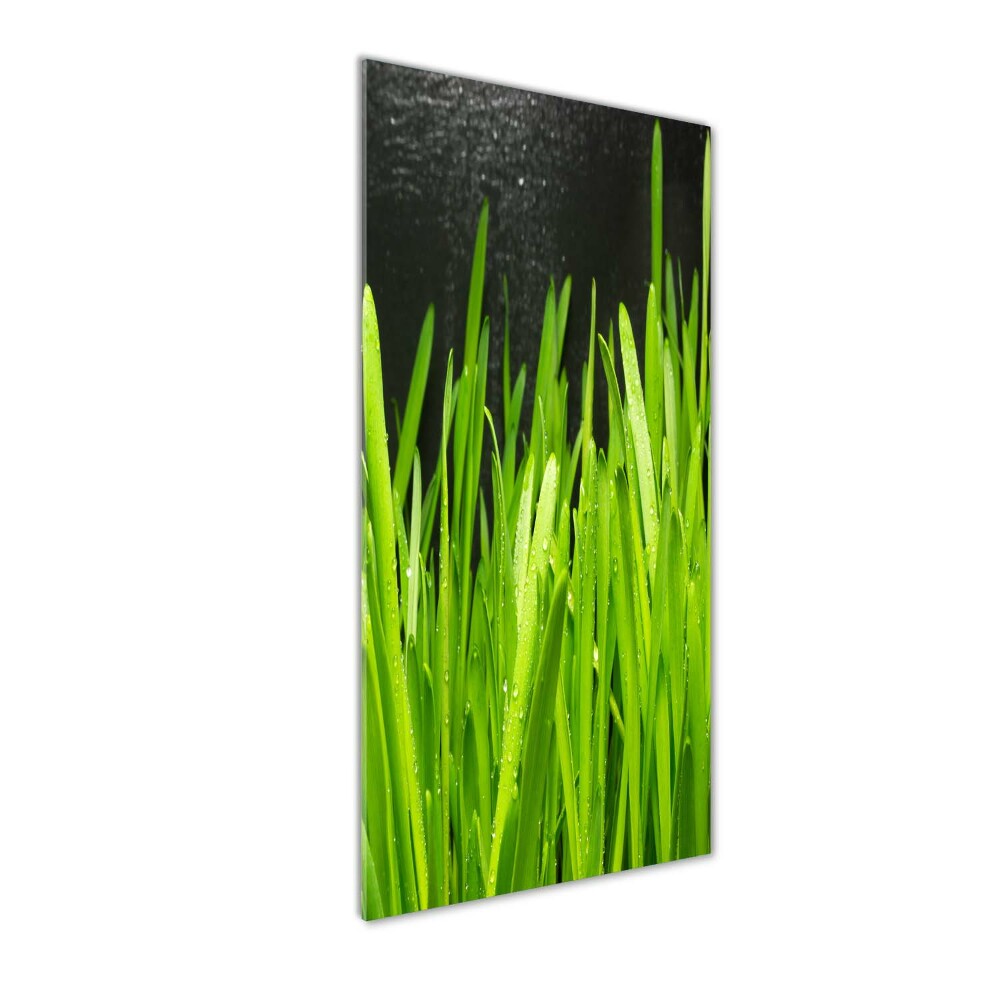 Acrylic print Blade of grass