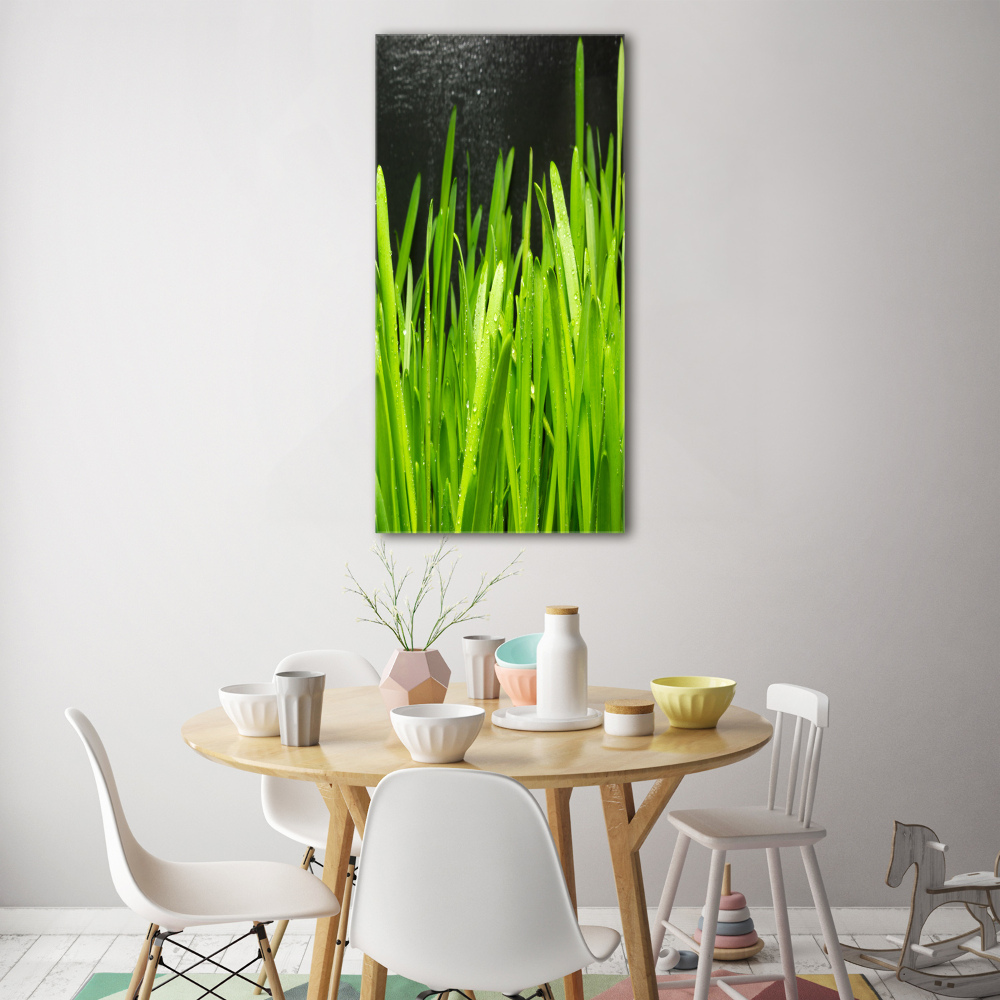 Acrylic print Blade of grass