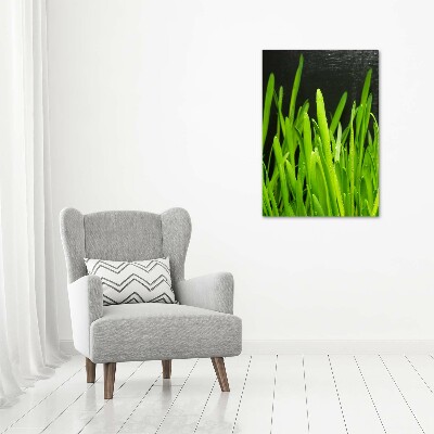 Acrylic print Blade of grass