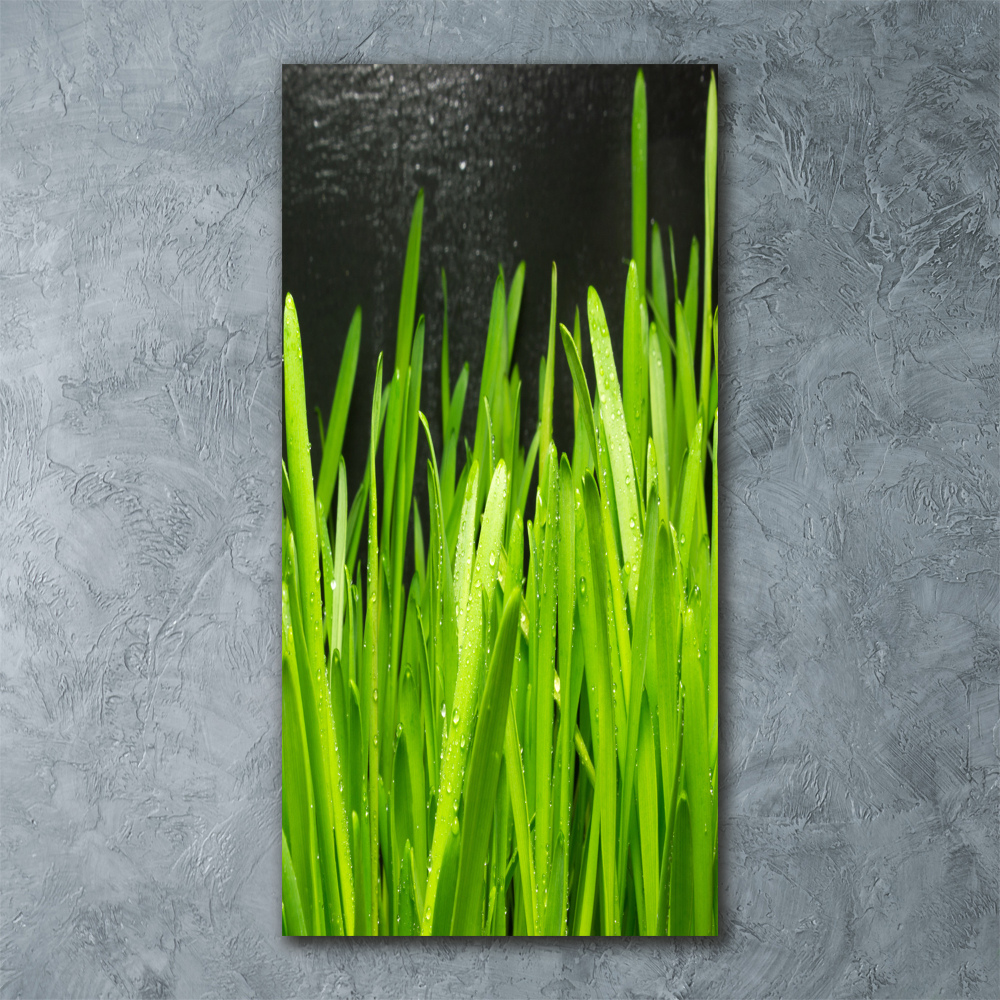 Acrylic print Blade of grass