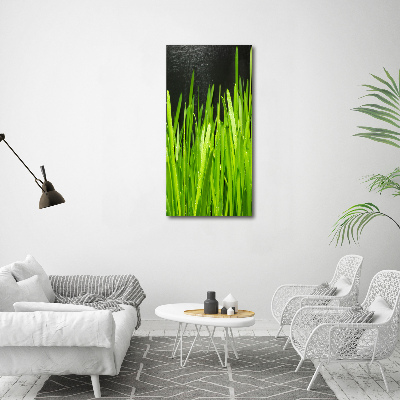 Acrylic print Blade of grass