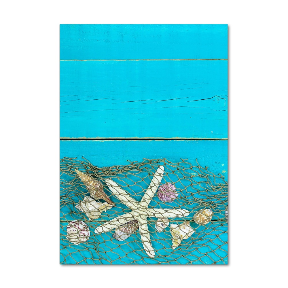 Acrylic print Shells and starfish