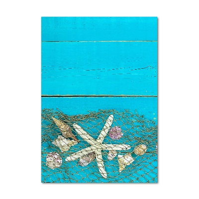 Acrylic print Shells and starfish