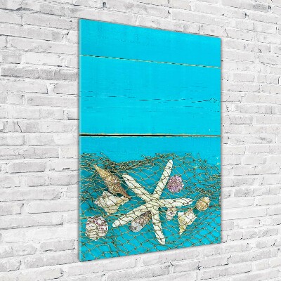 Acrylic print Shells and starfish