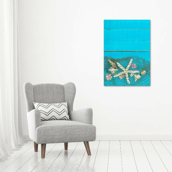 Acrylic print Shells and starfish