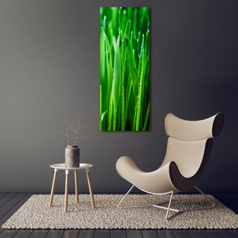 Acrylic print Blade of grass