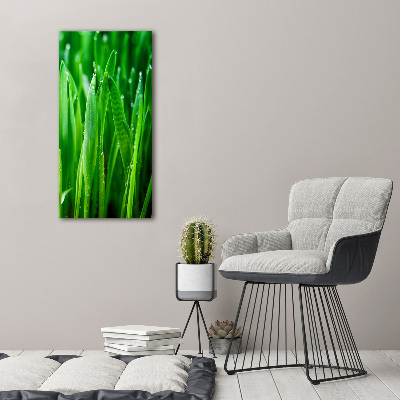 Acrylic print Blade of grass