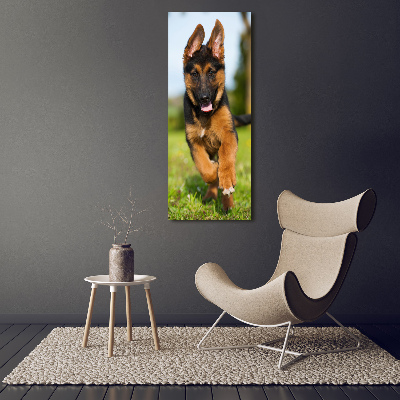 Print on acrylic German Shepherd