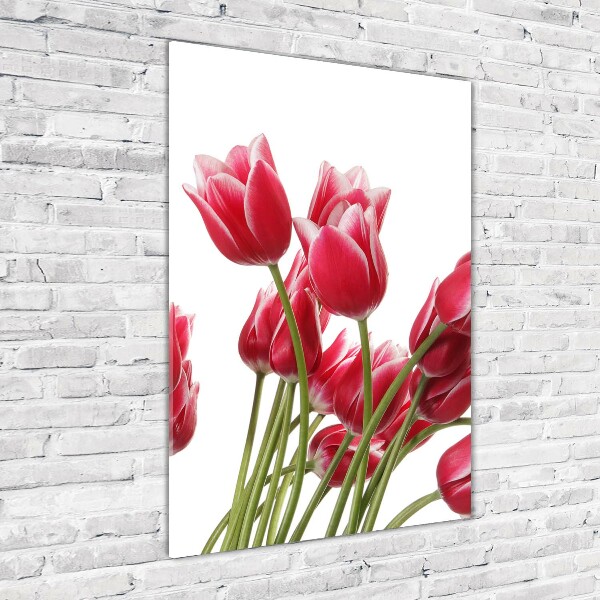 Print on acrylic glass Red tulips