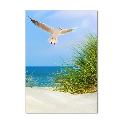 Acrylic print Seagull over the dunes