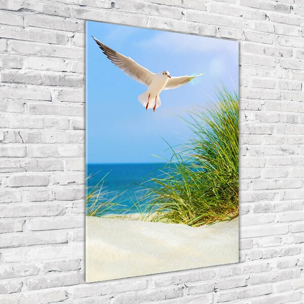 Acrylic print Seagull over the dunes